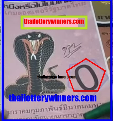 Thai Lottery Cobra Single set