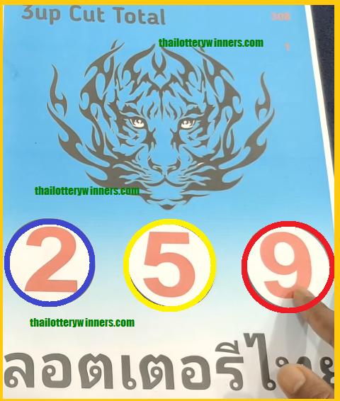 VIP Tips Special Thai Lottery Results