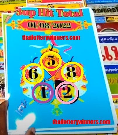Thai Lottery 3up Hit Total