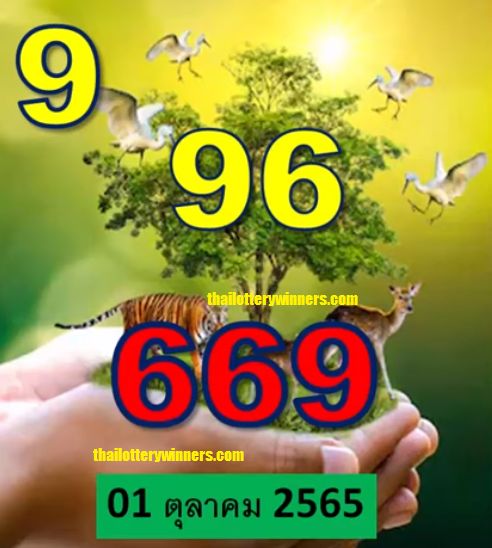 vip thai lottery