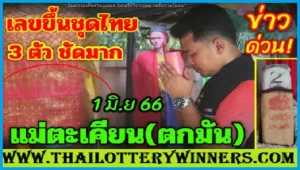 Thailand lottery magic win tip single digit formula 01/06/2566