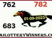 3D Thai Lottery VIP Tip Open Master Digit Formula 01-09-2023